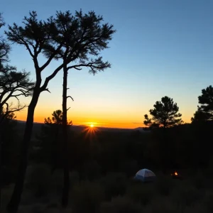 Sunset view of Tonto National Forest with camping area