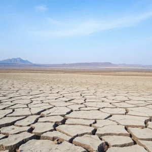 Dry cracked land representing the global water crisis