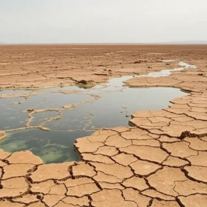 Dry landscape illustrating groundwater depletion