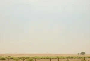 View showing windy conditions in Imperial County during a wind advisory