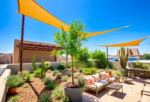 Rooftop garden in Phoenix with diverse plants and comfortable seating.
