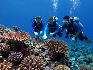Researchers studying coral resilience in a controlled environment at Biosphere 2.